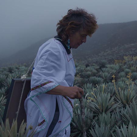 Colombia viva