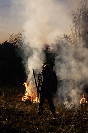 SENTADOS FRENTE AL FUEGO