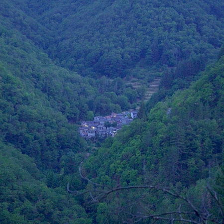BOSCO